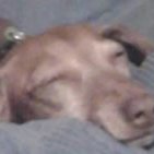 Profile Picture of Brandon Lee Hill (@vtbornasshole1983) on Myspace