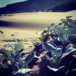 Profile Picture of Margaret M. Craig (@brianterranovajrmason) on Instagram