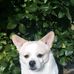 Profile Picture of Jim Perrigo (@jim.perrigo.18) on Facebook