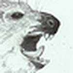 Profile Picture of christopher bowman (@christopher bowman) on Flickr