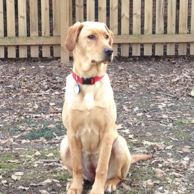 Profile Picture of Rev. James M. Labosky (@LaboskyJames) on Twitter