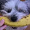 Profile Picture of Calvin Trinh (@@recipesbylinda) on Tiktok