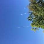 Leah Whitley - Instagram Profile Picture of Leah Whitley (@leah.whitley335) on Instagram