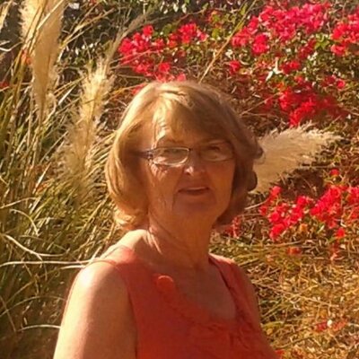 Profile Picture of Lynda  Morris (@Lynda63Morris) on Twitter