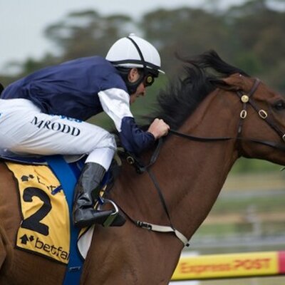 Profile Picture of Steven Dowden (@aussieratings) on Twitter