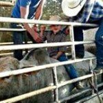 Profile Picture of Chelsi Martin (@martinc713) on Instagram