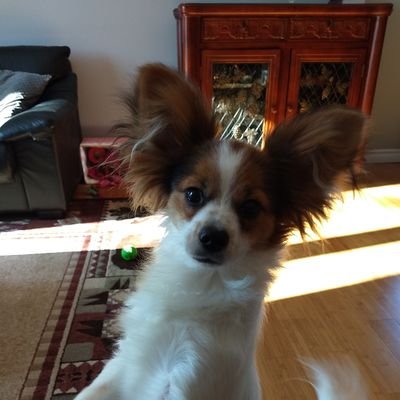 Profile Picture of NwWrldordr (@MarkRollins2) on Twitter