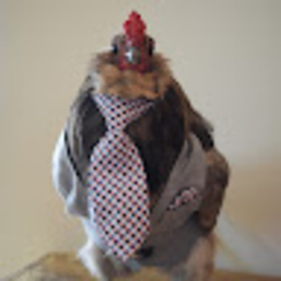 Profile Picture of Shawn Carlson (@daltonmoose1) on Poshmark