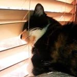 Profile Picture of Mark Downing (@bigbubbadude) on Instagram