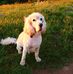 Profile Picture of Stewart Daniels (@stewart.daniels.7374) on Facebook
