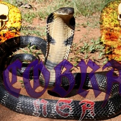 Profile Picture of Alvaro Patricio Rosa (@AlvarocobraRosa) on Twitter