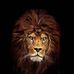 Profile Picture of Jama Ibrahim (@jama.ibrahim.3158) on Facebook