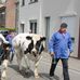 Profile Picture of Brabant Pieter (@brabant.pieter.9) on Facebook