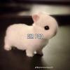 Profile Picture of juliancuevas999 (@juliancuevas999) on Tiktok