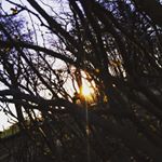 Profile Picture of Cedric Paul (@cedricpaul3196) on Instagram