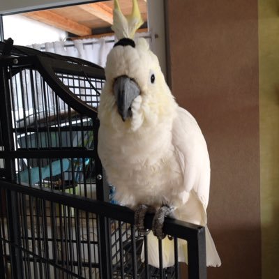 Lydia Uschmann - Twitter Profile Picture of Lydia Uschmann (@LydiaUschmann) on Twitter