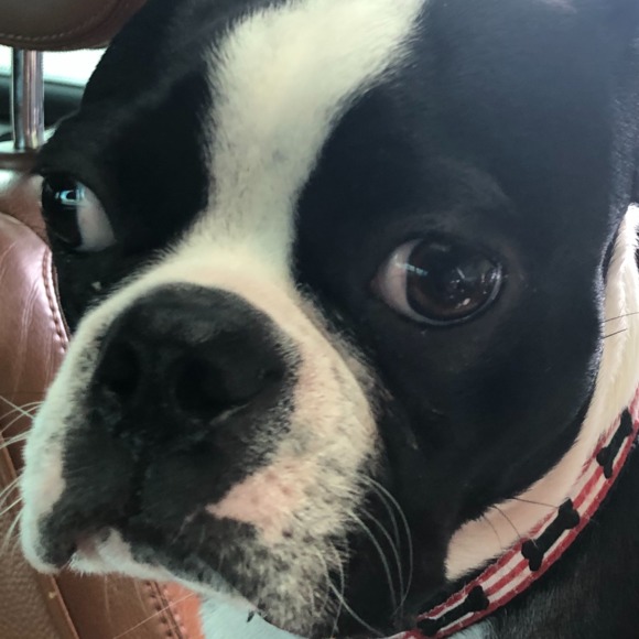 Profile Picture of P Gordon (@paveenag) on Poshmark