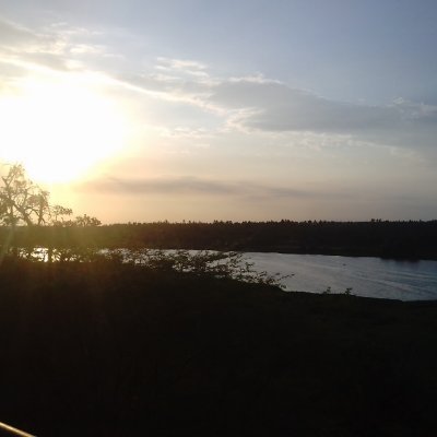 Profile Picture of William Colmenares Matinez (@williamcolme) on Twitter