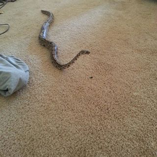 Profile Picture of Mikey Jackson (J) (@john.chandler.18062) on Facebook