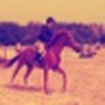 Profile Picture of Paige Perkins (@paige.n.perkins) on Flickr