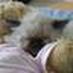 Profile Picture of Andrew (@Andrew Levine) on Flickr