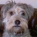 Profile Picture of Deirdre Browne Treacy (Deirdre Browne Treacy) (@deirdre.treacy) on Facebook