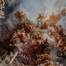 Profile Picture of Matthew Cappola (@cappola2000) on Pinterest