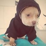 Profile Picture of Kevin Tynan (@kevintynan) on Instagram
