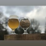 Profile Picture of Danny Carey Brian Winfree (@backwaterbrewco) on Instagram