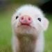 Profile Picture of Hunter Murdock (@hunter_murdock) on Pinterest