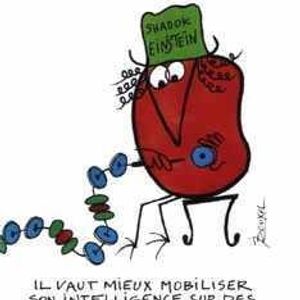 Profile Picture of Christian Lemire (@338241378) on Myspace