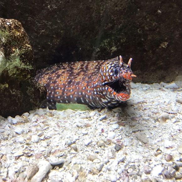 Maksym Zhuk - Poshmark Profile Picture of Maksym Zhuk (@maksymzhuk) on Poshmark