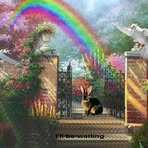 Profile Picture of Rowland McDonnell (@romac123) on Facebook