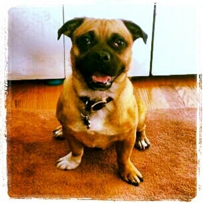 Mike McFetridge - Twitter Profile Picture of Mike McFetridge (@WhatTheMIKE_) on Twitter