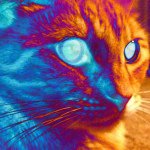 Profile Picture of Jillian Hartmann (@_jilly_beans_) on Instagram