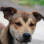 Profile Picture of Philip G (@geda84) on Flickr