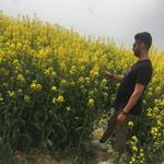 Profile Picture of Reza Fathi (@__reza.fathi__) on Instagram