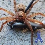 Profile Picture of Ju Ju (@julian.marshall.988) on Instagram