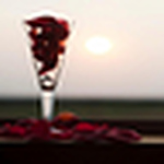 Profile Picture of Steph Colston (@pinky sweet photography by steph colston) on Flickr