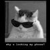 Profile Picture of Adam Widera (@adam.widera.585) on Facebook