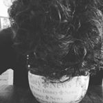 Profile Picture of Paolo Tedesco (@muoridelay) on Instagram