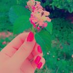 Profile Picture of Reham Ibrahim (@rehamibrahim644) on Instagram