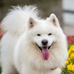 Profile Picture of Craig Griffis (@thegriffygriffis1234) on Instagram