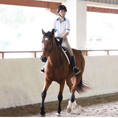 Profile Picture of Caitlin McIntyre (@caitlinmcintyre0) on Tiktok