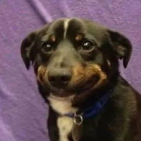 Profile Picture of Daniel Tůma (@DanielTma3) on Twitter