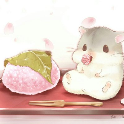 Profile Picture of Cecilia Lai (@CeciliaLai11) on Twitter