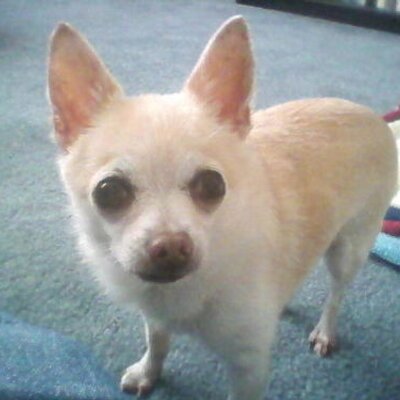 Profile Picture of Susan Hagans (@picker101) on Twitter