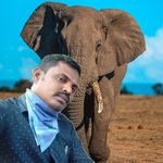 Profile Picture of chitteti Damodaram (@chittetidamodaram) on Instagram