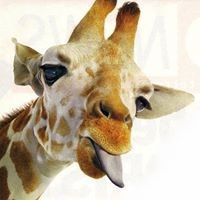 Philip Carter - Quora Profile Picture of Philip Carter (@philip-carter-13) on Quora