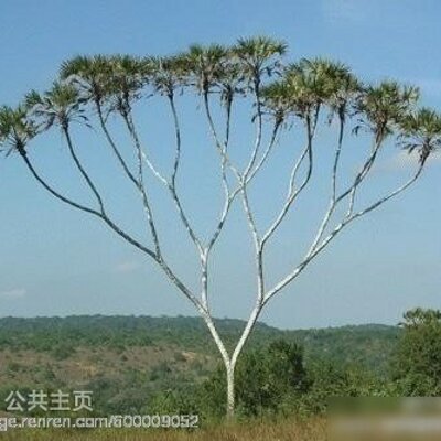 Profile Picture of ChenPeng (@ChenPeng16) on Twitter